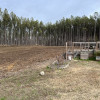Land Clearing | Elite Siteworks